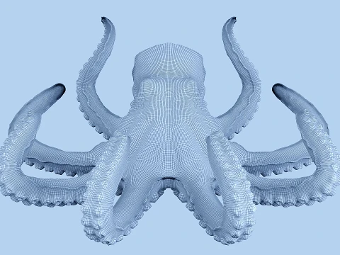 Octopus 3D Model