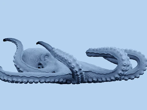 Octopus 3D Model