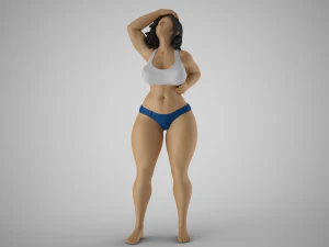 中暑 3D 打印模型