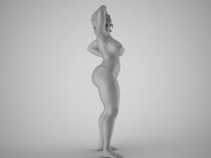 中暑 3D 打印模型