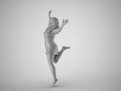 Fly with Joy 3D Print Model
