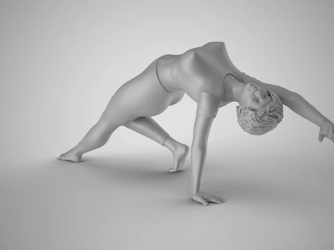Flexibility Meets Elegance 3D Print Model