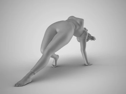 Flexibility Meets Elegance 3D Print Model