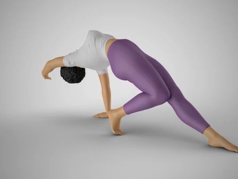 Flexibility Meets Elegance 3D Print Model