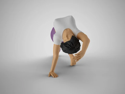 Flexibility Meets Elegance 3D Print Model