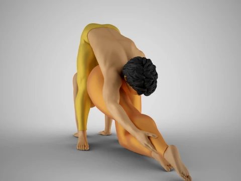 Ballet Premiere 3D Print Model