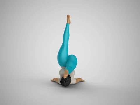 Flexibility at Midday 3D Print Model