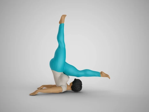 Flexibility at Midday 3D Print Model
