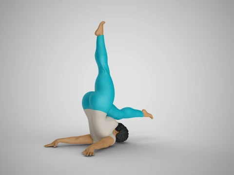 Flexibility at Midday 3D Print Model