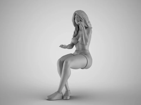 Woman Working on Computer 3D Print Model