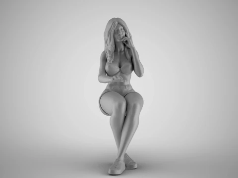 Woman Working on Computer 3D Print Model