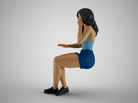 Woman Working on Computer 3D Print Model