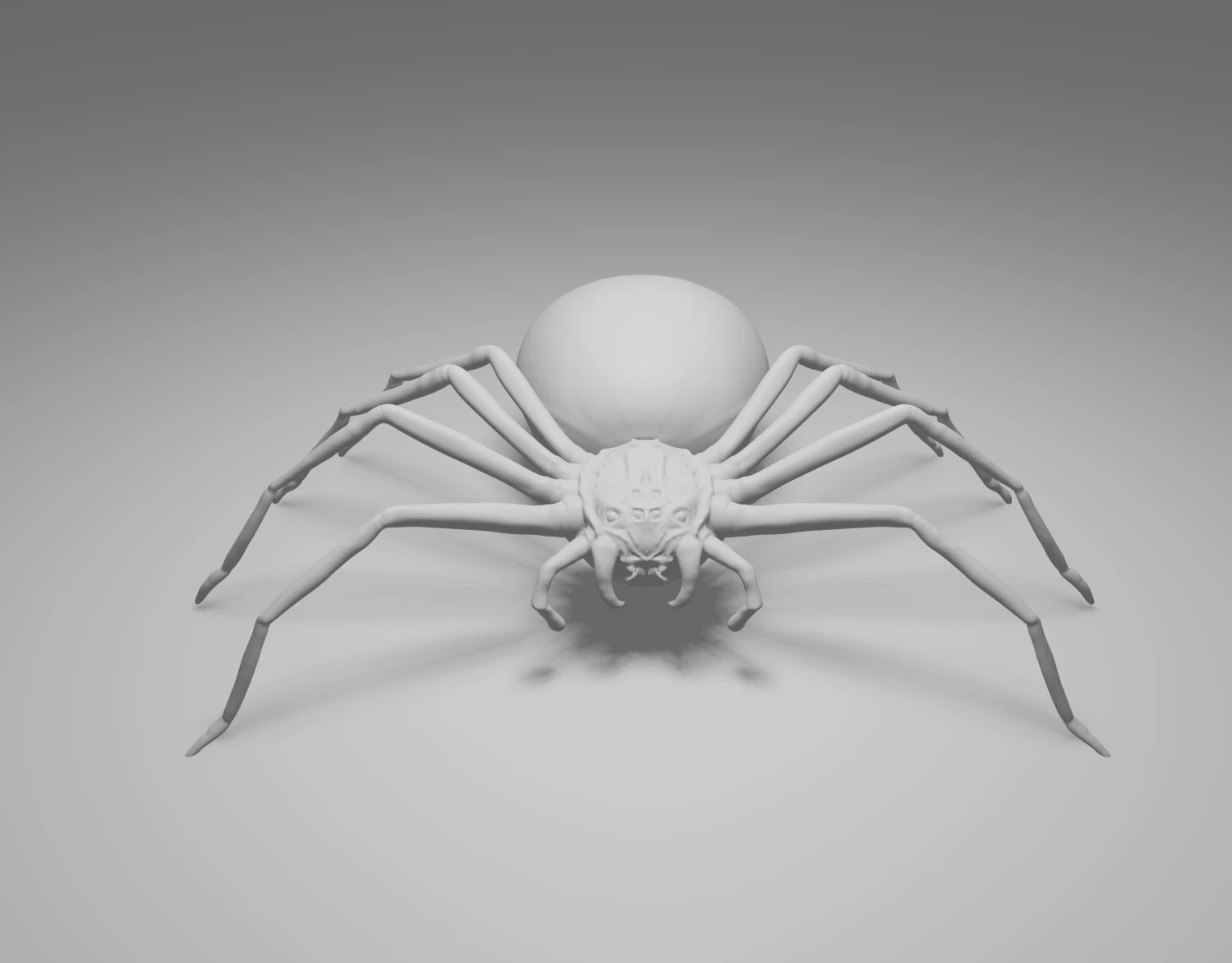 Spider 3D Model .c4d .max .obj .3ds .fbx .stl .blend 