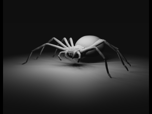 Spider 3D Model