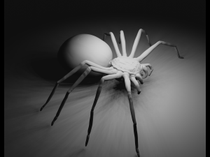 Spider 3D Model