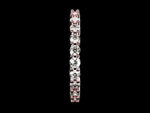 Eternity ring US and EU ring size 3D 打印模型