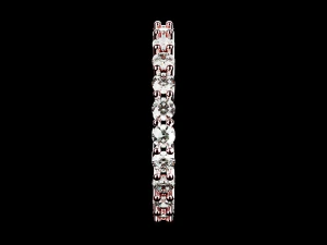Eternity ring US and EU ring size 3D Print Model