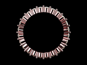 Eternity ring US and EU ring size 3D 打印模型