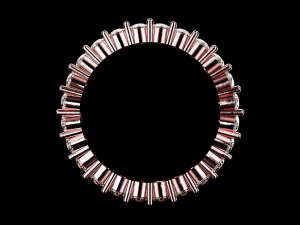 Eternity ring US and EU ring size 3D Print Model
