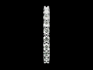 Eternity ring US and EU ring size 3D 打印模型