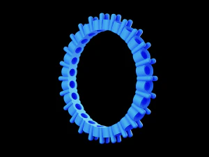 Eternity ring US and EU ring size 3D Print Model