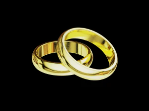 Solid classic wedding ring 3D Print Model