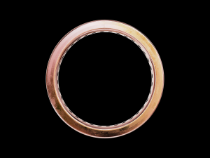 Eternity band classic ring with stone 3D 打印模型
