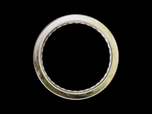 Eternity band classic ring with stone 3D 打印模型