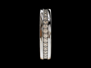 Eternity band classic ring with stone 3D 打印模型