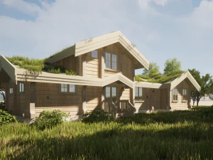 Деревянный дом 3D Модель