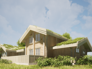 Wood house 3D 모델
