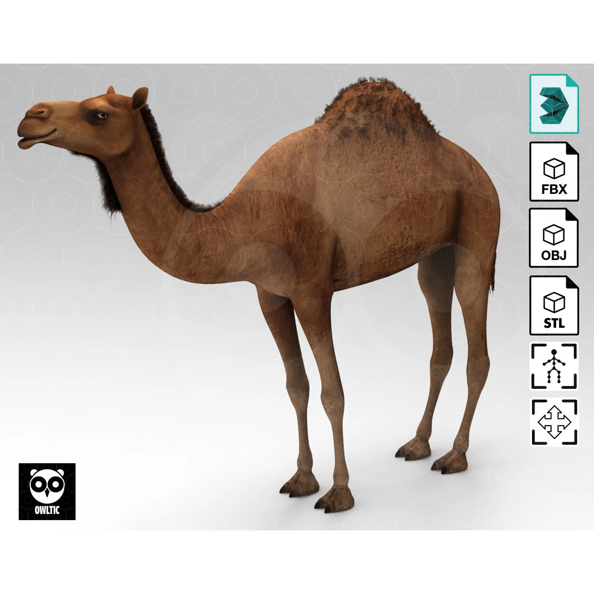 Camel - Rigged - Animated 3D Model .c4d .max .obj .3ds .fbx .stl .blend 