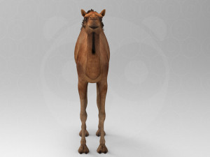 Camel - Rigged - Animated 3D Model