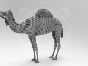 Camel - Rigged - Animated 3D Model