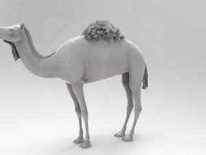 Camel - Rigged - Animated 3D Model