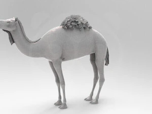 Camel - Rigged - Animated 3D Model
