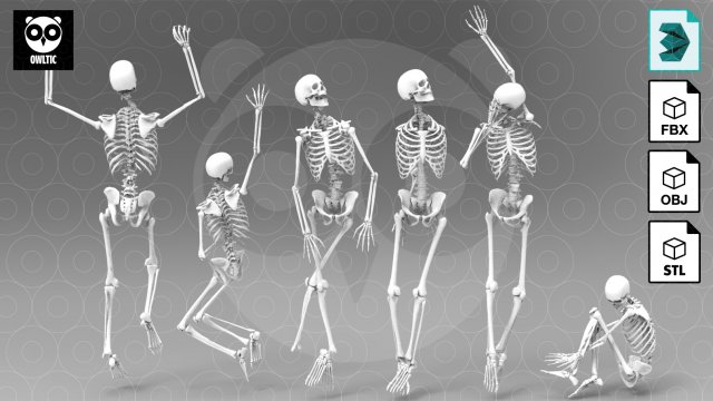 Image result for skeleton scene poses