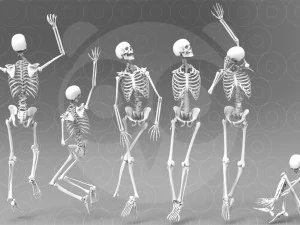 スケルトンのポーズ 3Dモデル