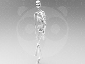 Skeleton Pose 3Dモデル