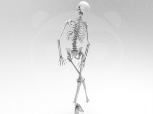 Skeleton Pose 3Dモデル