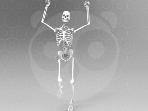 Skeleton Pose 3Dモデル
