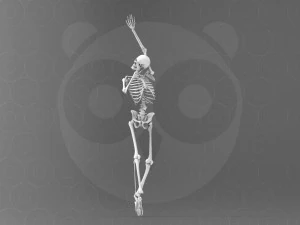 Skeleton Pose 3D Model