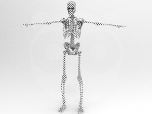 Skeleton - Rigged - Animated 3D मॉडल