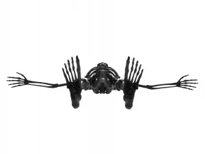 Skeleton - Rigged - Animated 3D Model