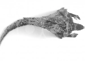 Godzilla - Print 3D Print Model