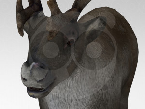 Reindeer Modelo 3D
