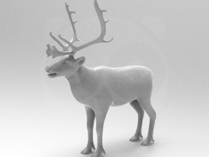 Reindeer Modelo 3D