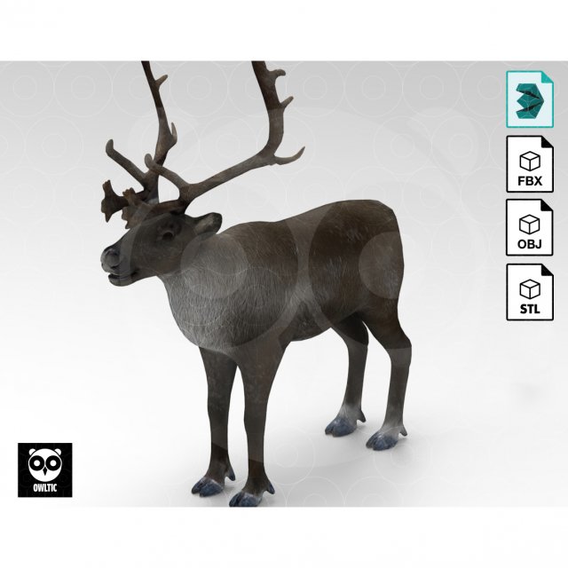 Reindeer Modelo 3D .c4d .max .obj .3ds .fbx .stl .blend 