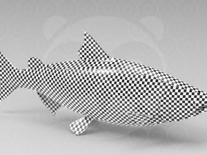 Salmon 3D 模型