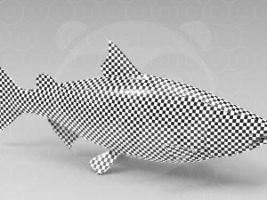 Salmone Modello 3D